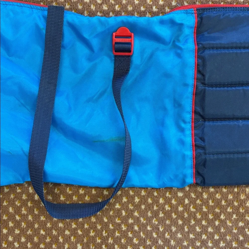 Ski travel bag